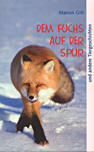 Dem Fuchs auf der Spur