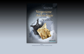 Screenshot Website Vergessene Archäologie