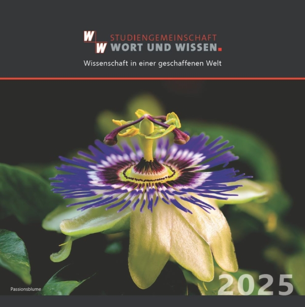 W+W-Schöpfungskalender 2025