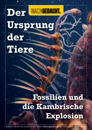 Der Ursprung der Tiere: Fossilien und die Kambrische Explosion