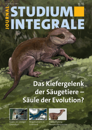 Zeitschrift Studium Integrale Journal (Aktuelle Ausgabe)
