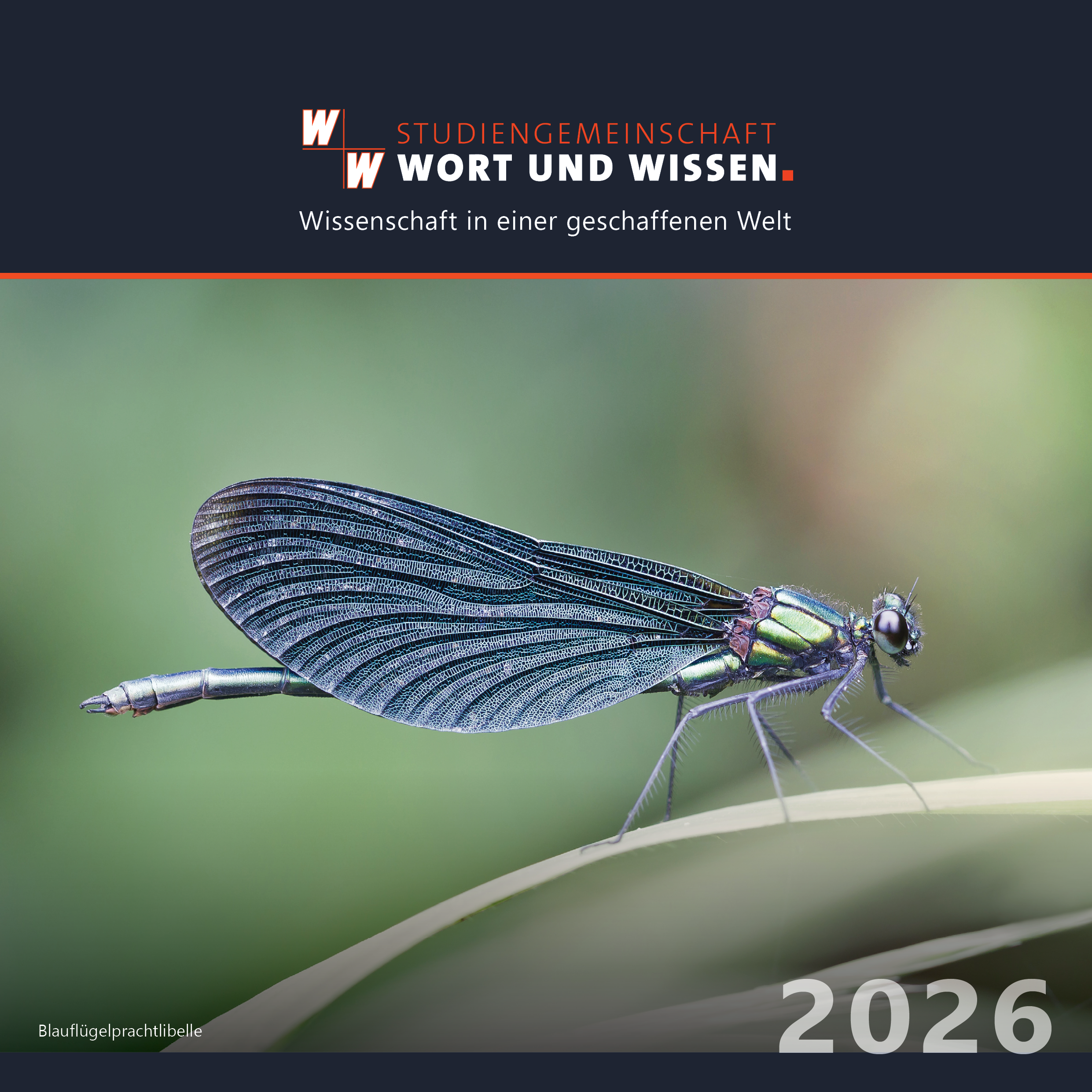 W+W-Schöpfungskalender 2026