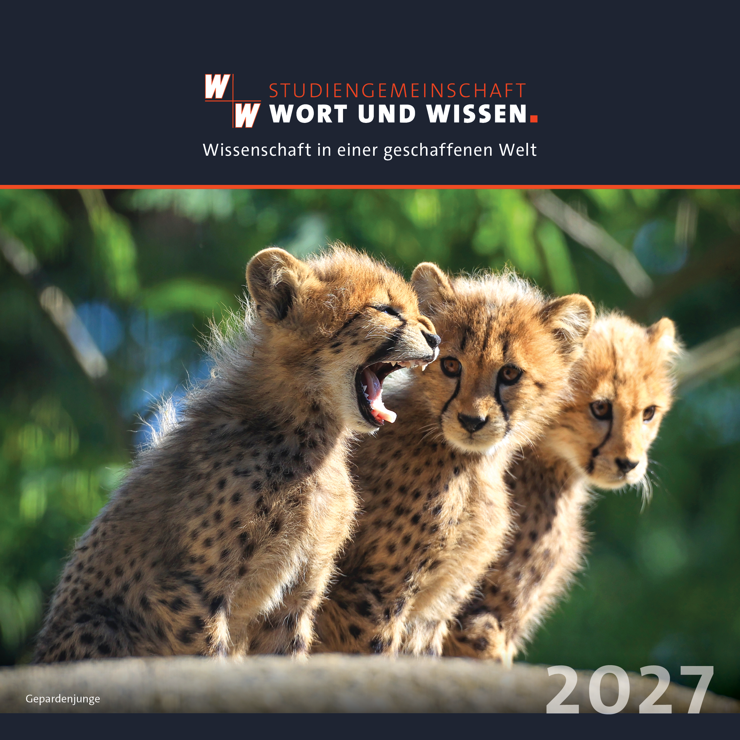 W+W-Schöpfungskalender 2027 W+W-Schöpfungskalender 2027