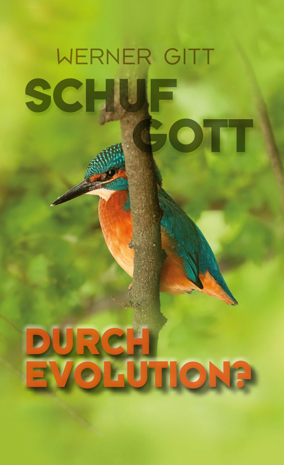 Schuf Gott durch Evolution? Schuf Gott durch Evolution?