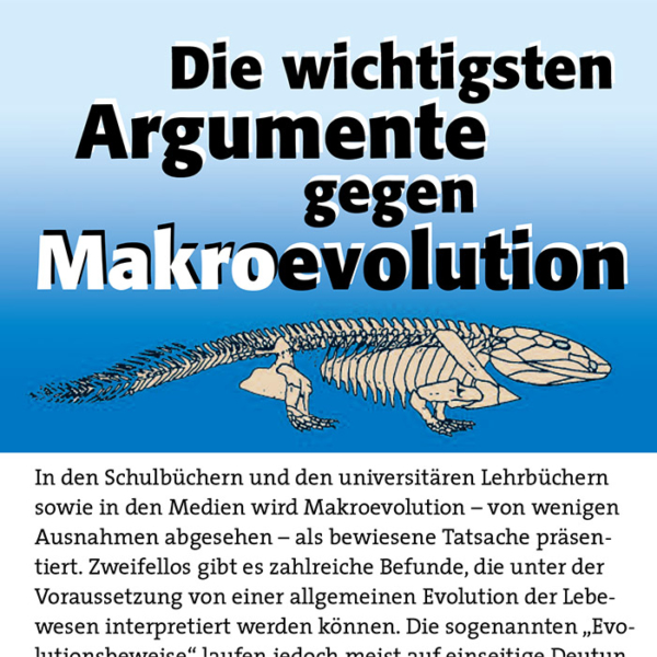 Die wichtigsten Argumente gegen Makroevolution