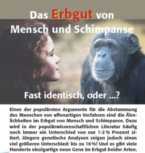 Das Erbgut von Mensch und Schimpanse. Fast identisch, oder ...?