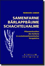 Pflanzen des Karbons: Problemfälle für die Evolutionstheorie